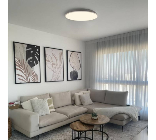 Накладной светильник Loft it Brim 10226 White