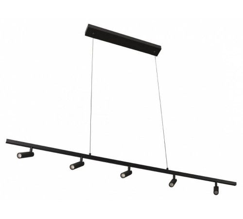 Подвесной светильник Loft it Sign 10260/5 Black