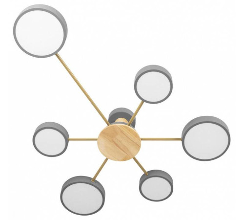 Потолочная люстра Loft it Sunrise 10316/6 Grey