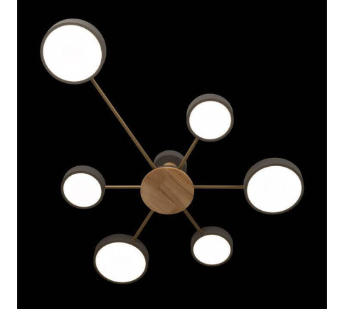 Потолочная люстра Loft it Sunrise 10316/6 Grey