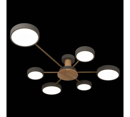 Потолочная люстра Loft it Sunrise 10316/6 Grey