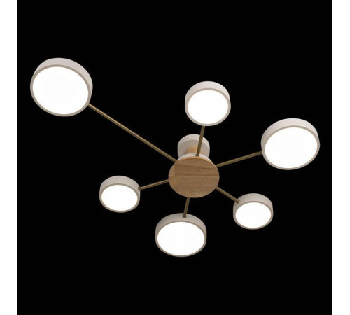 Потолочная люстра Loft it Sunrise 10316/6 White