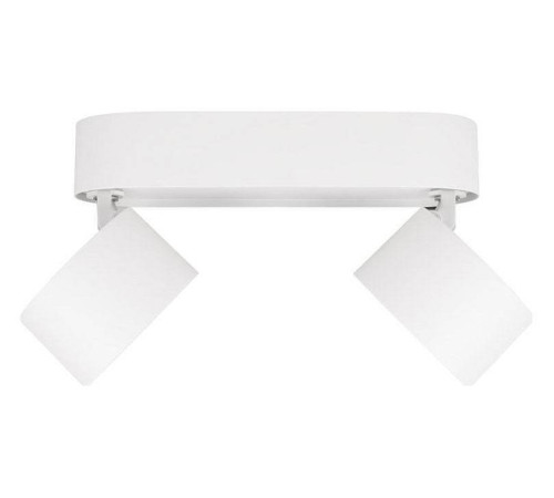 Спот Loft it Focus 10323/2A White