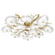 Потолочная люстра Loft it Bloom 10352/800C AB