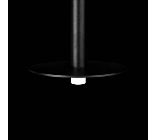 Подвесной светильник Loft it Reed 10358/830 Disk