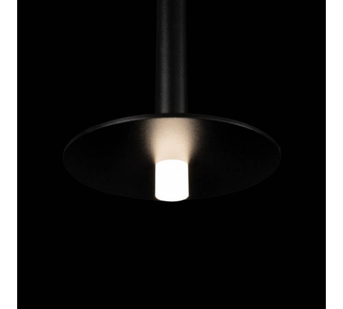 Подвесной светильник Loft it Reed 10358/830 Disk