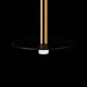 Подвесной светильник Loft it Reed 10358/830 Disk AB