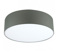 Накладной светильник Lighthall Camerona 65 LH022028