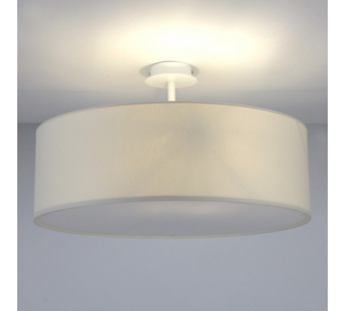 Светильник на штанге Lighthall Viviana 50 LH022034
