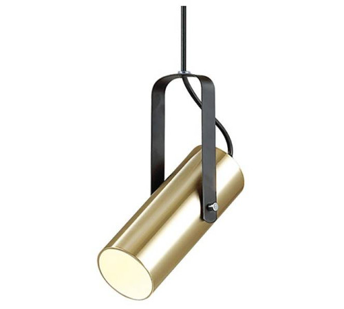 Подвесной светильник Lumion Claire 3714/1