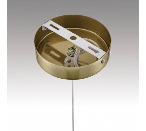 Подвесной светильник Lumion Solida 8087/1A