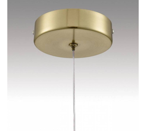 Подвесной светильник Lumion Solida 8087/1A