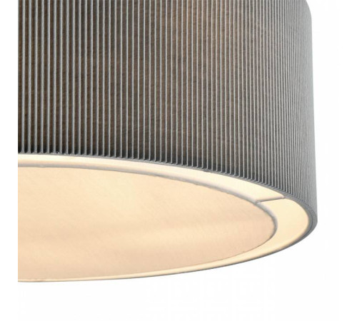 Светильник на штанге Lumion Zigrisa 8111/5