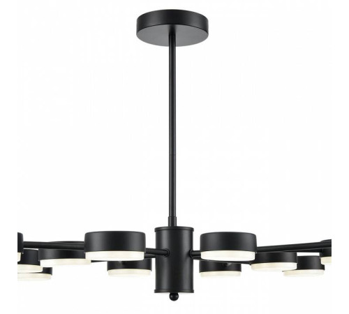 Люстра на штанге Lumion Torina 8117/12