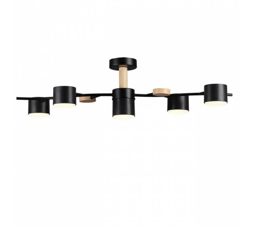 Потолочная люстра Lumion Crypto 8194/5C