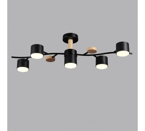 Потолочная люстра Lumion Crypto 8194/5C