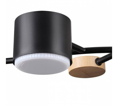 Потолочная люстра Lumion Crypto 8194/5C