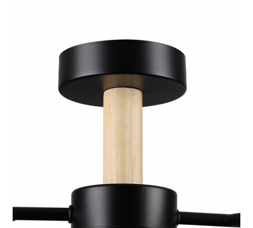 Потолочная люстра Lumion Crypto 8194/5C