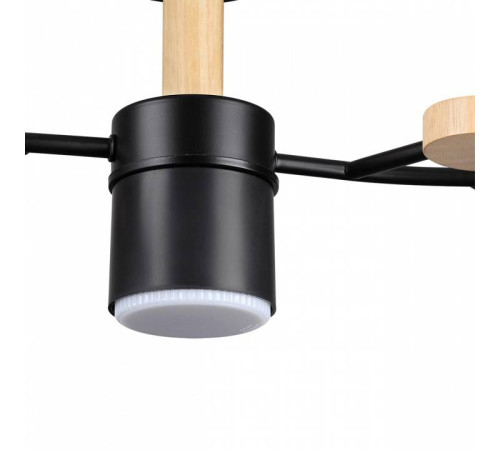 Потолочная люстра Lumion Crypto 8194/5C