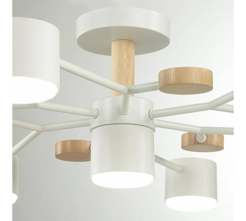 Потолочная люстра Lumion Rondo 8195/7C