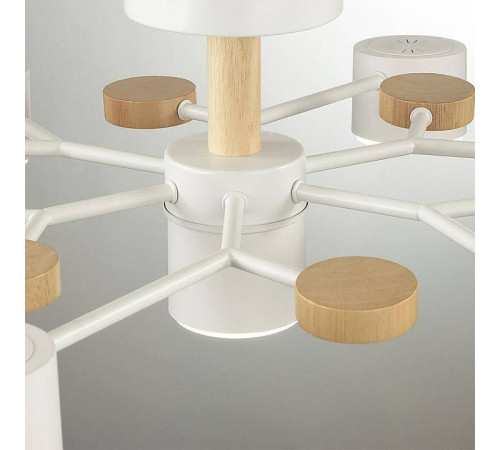 Потолочная люстра Lumion Rondo 8195/7C