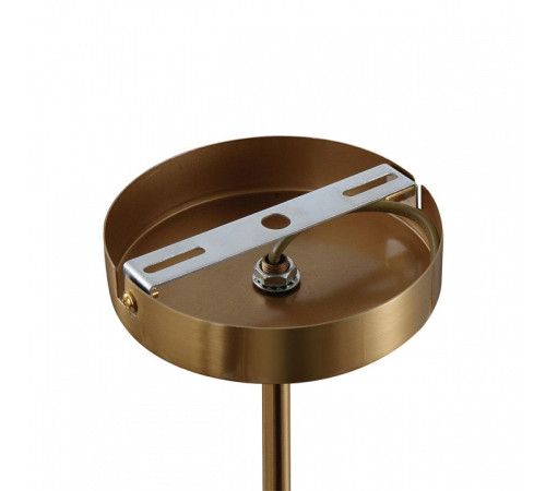 Люстра на штанге Lumion GLORIYA 8272/8C