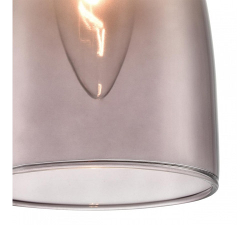 Подвесной светильник Lumion DERBI 8285/1A