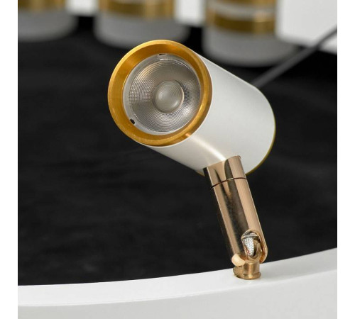 Подвесная люстра Lussole Gilbert LSP-7176