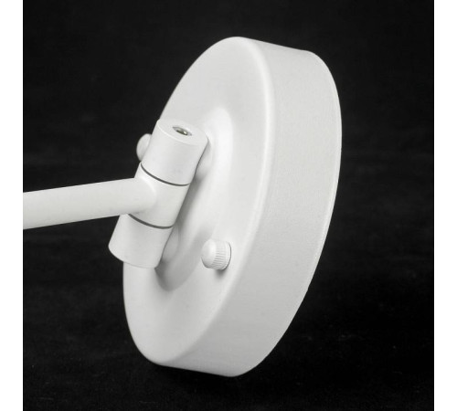 Зеркало настенное Lussole Bartow LSP-7269