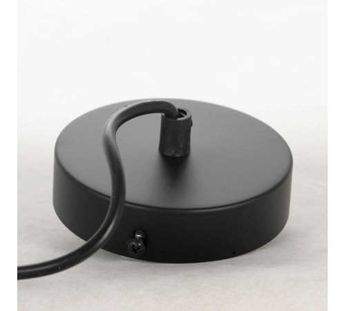 Подвесной светильник Lussole Truman LSP-8572