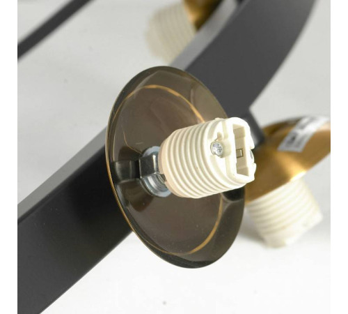 Подвесная люстра Lussole LSP-875 LSP-8750