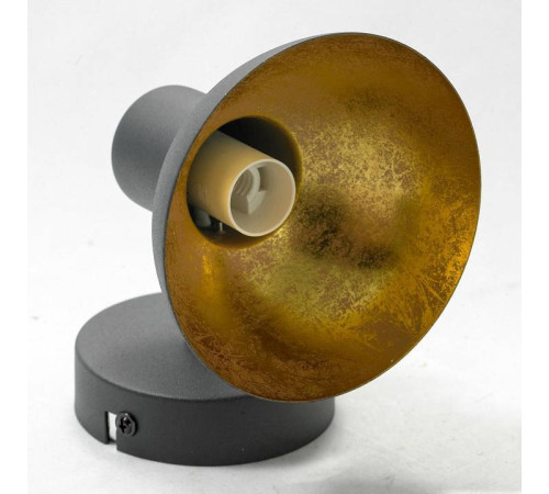 Спот Lussole Louisville LSP-9973