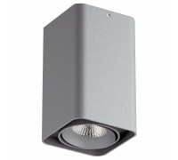 Накладной светильник Lightstar Monocco 52139