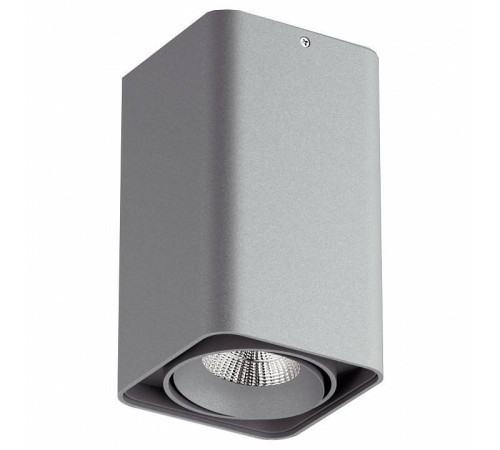 Накладной светильник Lightstar Monocco 52139