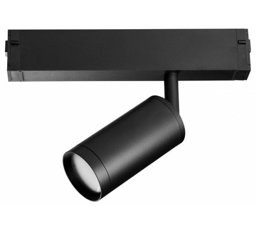 Светильник на штанге Lightstar Teta 205027R