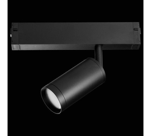 Светильник на штанге Lightstar Teta 205027R