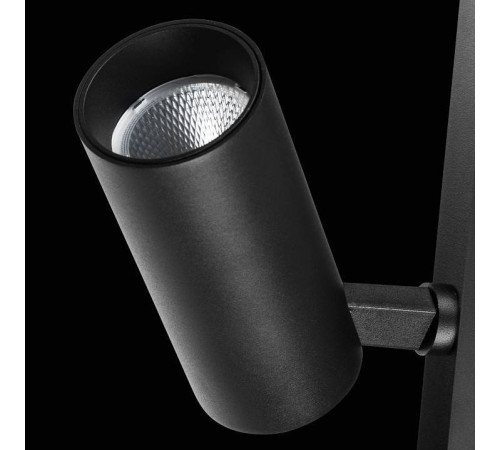 Светильник на штанге Lightstar Teta 205037R