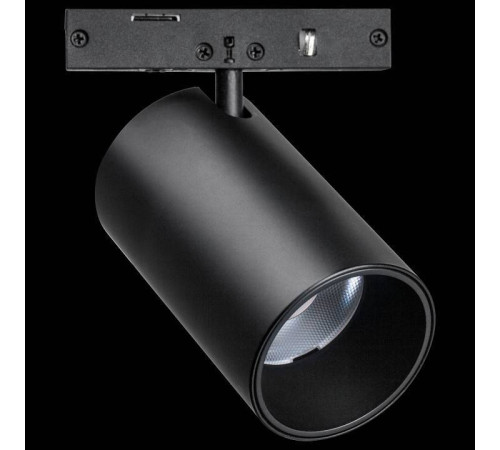 Светильник на штанге Lightstar Linea 206237