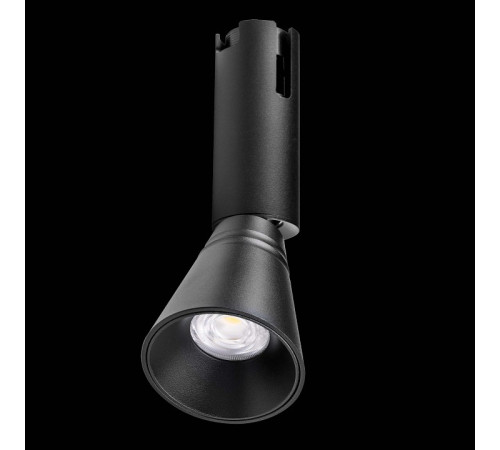 Светильник на штанге Lightstar Due Hermes 210847