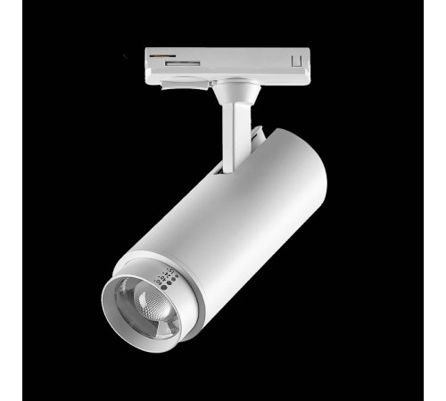 Светильник на штанге Lightstar Fuoco P+CCT 218016