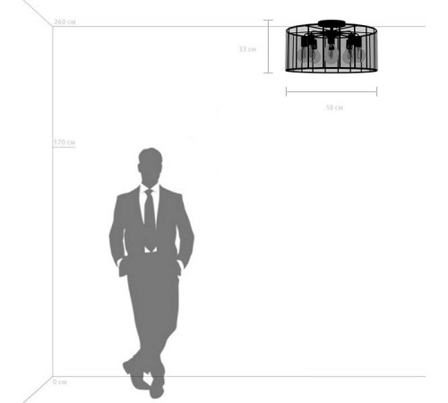 Светильник на штанге Lightstar Genni 798287