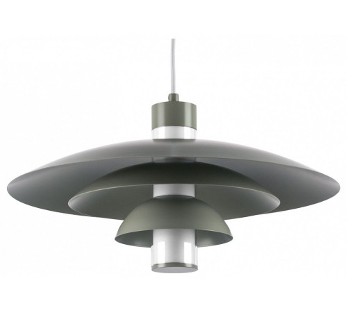 Подвесной светильник Lightstar Erbareo 799019