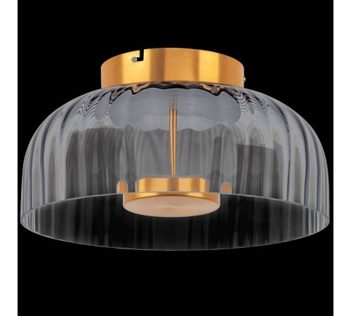 Накладной светильник Lightstar Celesta 809061