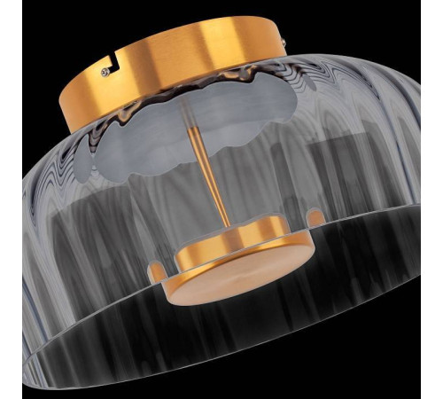 Накладной светильник Lightstar Celesta 809061