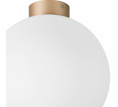 Накладной светильник Lightstar Globo 812033