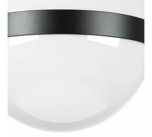 Накладной светильник Lightstar Globo 812117