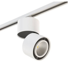 Накладной светильник Lightstar Rullo A1T214850