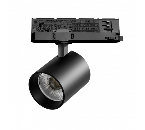 Светильник на штанге Lightstar Alta Base A5447QT