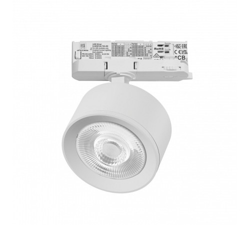 Светильник на штанге Lightstar Alta Pro A5536QT60G