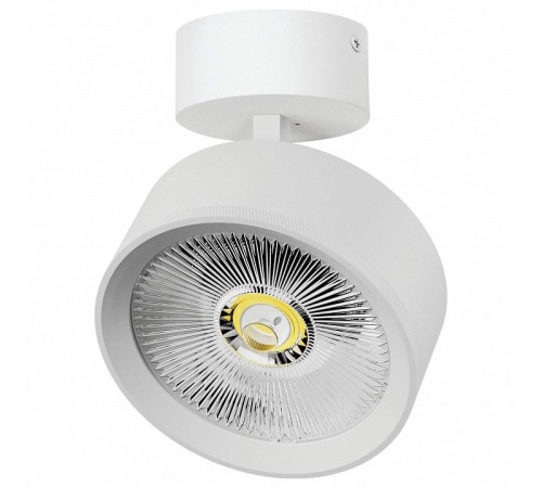 Спот Lightstar Alta Pro A5746SO